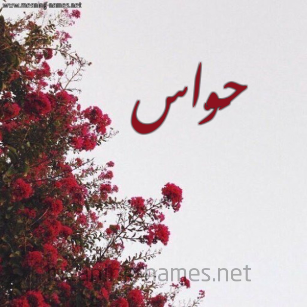 شكل 18 صوره الورد الأحمر للإسم بخط رقعة صورة اسم حَوّاس HAOAS