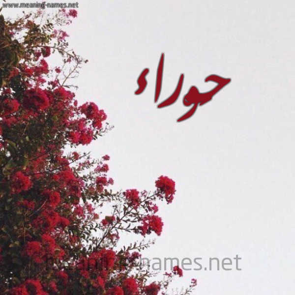 شكل 18 صوره الورد الأحمر للإسم بخط رقعة صورة اسم حَوْراء HAORAA