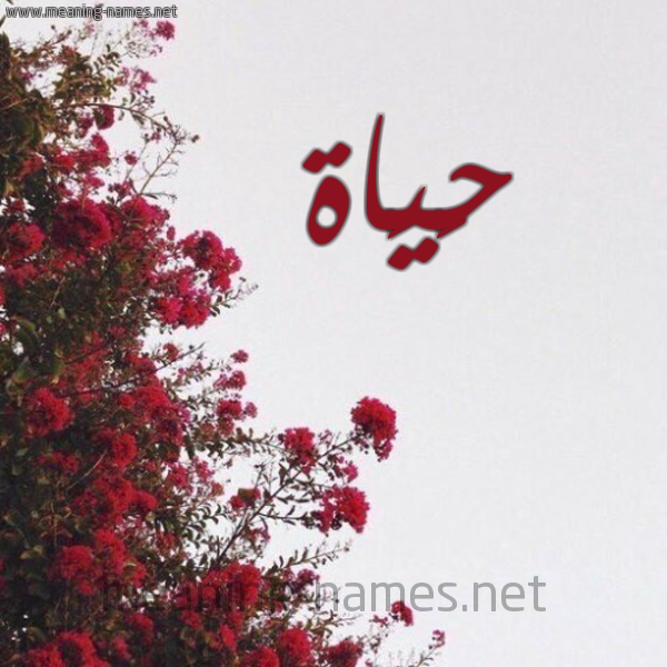 شكل 18 صوره الورد الأحمر للإسم بخط رقعة صورة اسم حَيَاة HAIAAH