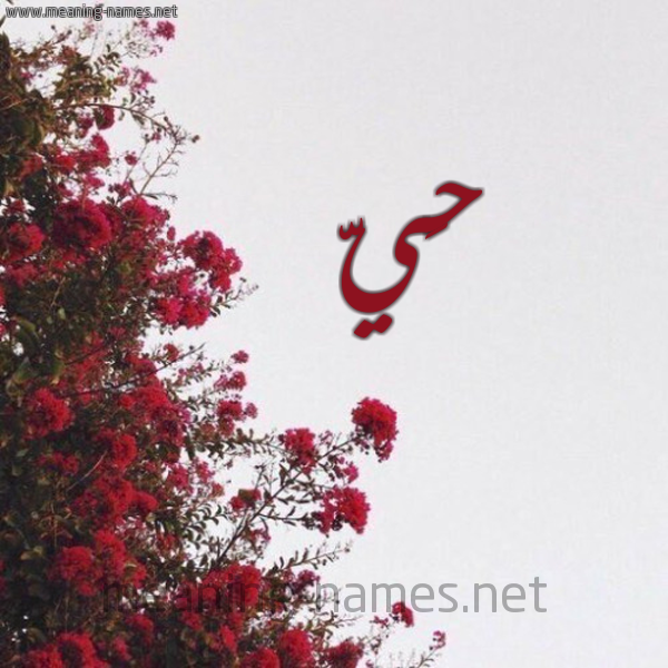 شكل 18 صوره الورد الأحمر للإسم بخط رقعة صورة اسم حَيّ HAI