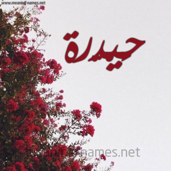شكل 18 صوره الورد الأحمر للإسم بخط رقعة صورة اسم حَيْدّرة HAIDRH