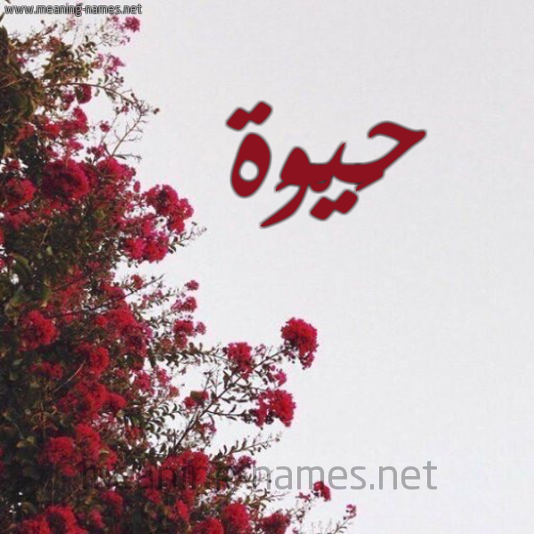 شكل 18 صوره الورد الأحمر للإسم بخط رقعة صورة اسم حَيْوَة HAIOAH