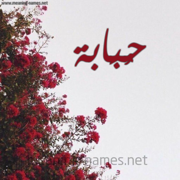 شكل 18 صوره الورد الأحمر للإسم بخط رقعة صورة اسم حُبَابة HOBAABH