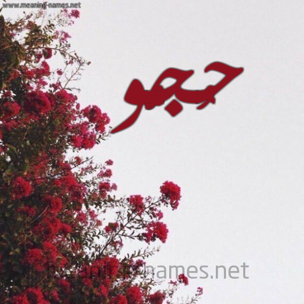 شكل 18 صوره الورد الأحمر للإسم بخط رقعة صورة اسم حُجُّو HOGOO