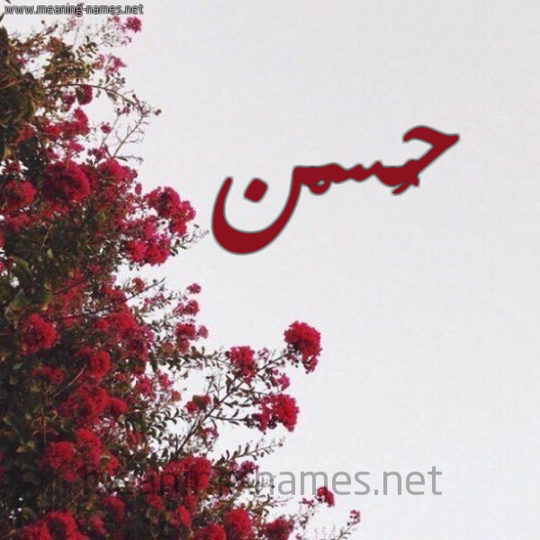 شكل 18 صوره الورد الأحمر للإسم بخط رقعة صورة اسم حُسْن HOSN