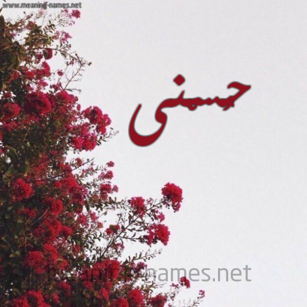 شكل 18 صوره الورد الأحمر للإسم بخط رقعة صورة اسم حُسْنى HOSNey