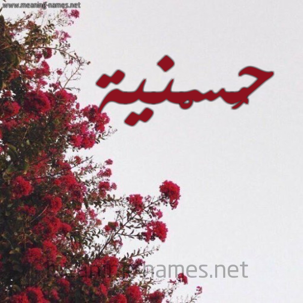 شكل 18 صوره الورد الأحمر للإسم بخط رقعة صورة اسم حُسْنية HOSNIH