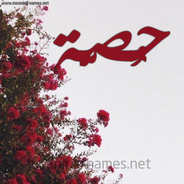 صورة اسم حُصَّة HOSAH شكل 18 صوره الورد الأحمر للإسم بخط رقعة صورة اسم حُصَّة HOSAH شكل 18 صوره الورد الأحمر للإسم بخط رقعة