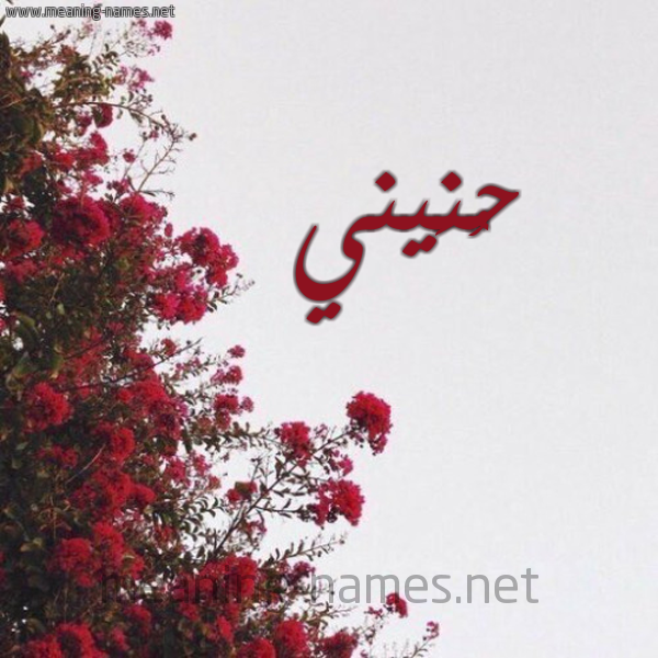 شكل 18 صوره الورد الأحمر للإسم بخط رقعة صورة اسم حُنَيني HONAINI