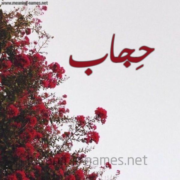 شكل 18 صوره الورد الأحمر للإسم بخط رقعة صورة اسم حِجاب HEGAB