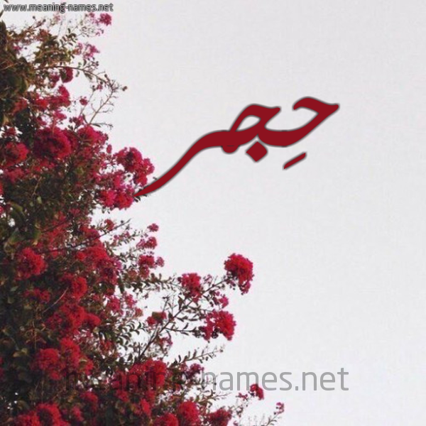 شكل 18 صوره الورد الأحمر للإسم بخط رقعة صورة اسم حِجْر Hegr
