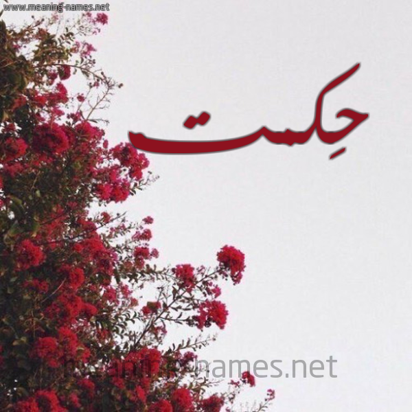 شكل 18 صوره الورد الأحمر للإسم بخط رقعة صورة اسم حِكمتْ HEKMT
