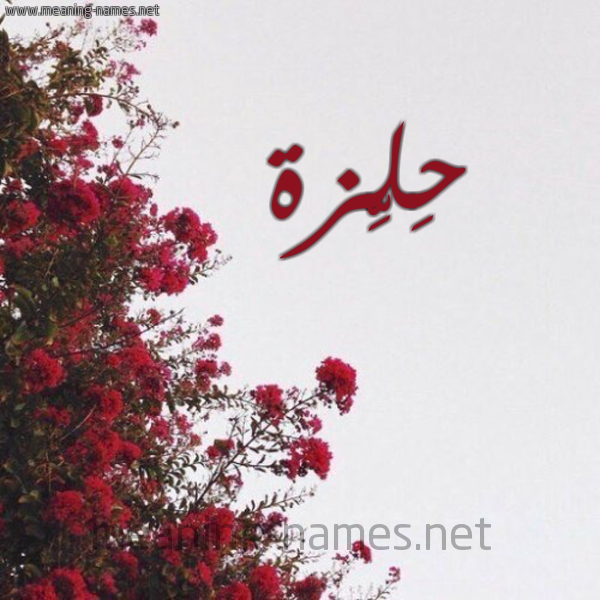 شكل 18 صوره الورد الأحمر للإسم بخط رقعة صورة اسم حِلِّزة HELEZH