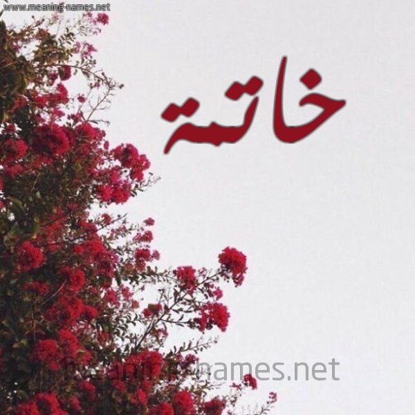 شكل 18 صوره الورد الأحمر للإسم بخط رقعة صورة اسم خاتمة KHATMH