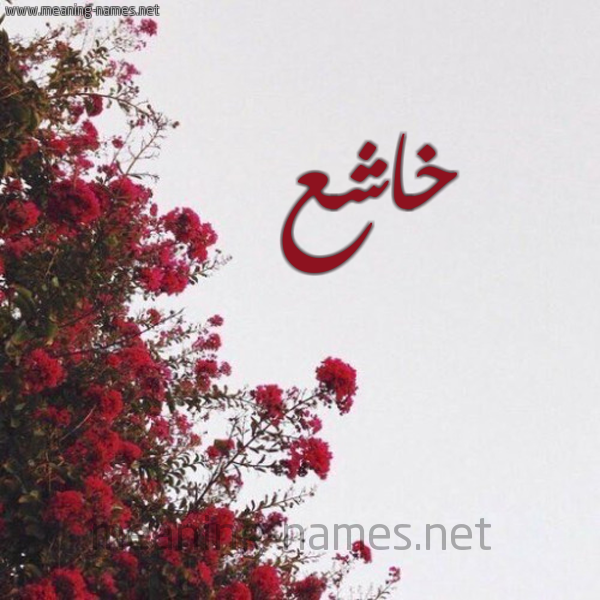 شكل 18 صوره الورد الأحمر للإسم بخط رقعة صورة اسم خاشع Khash'