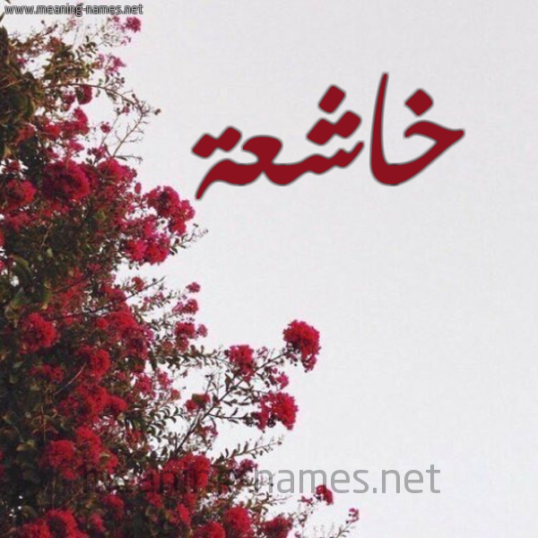 شكل 18 صوره الورد الأحمر للإسم بخط رقعة صورة اسم خاشعة KHASHAH