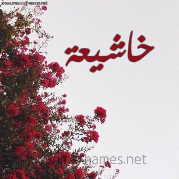 شكل 18 صوره الورد الأحمر للإسم بخط رقعة صورة اسم خاشيعة Kasheaa