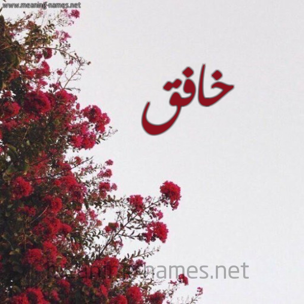 شكل 18 صوره الورد الأحمر للإسم بخط رقعة صورة اسم خافق Khafq