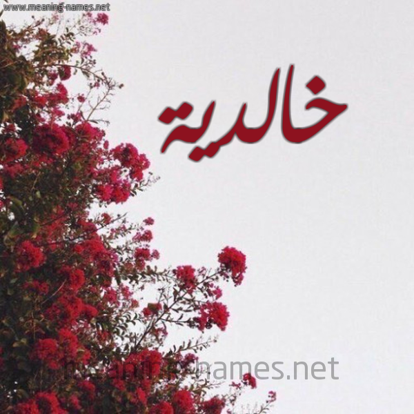 شكل 18 صوره الورد الأحمر للإسم بخط رقعة صورة اسم خالدية Khaldyh