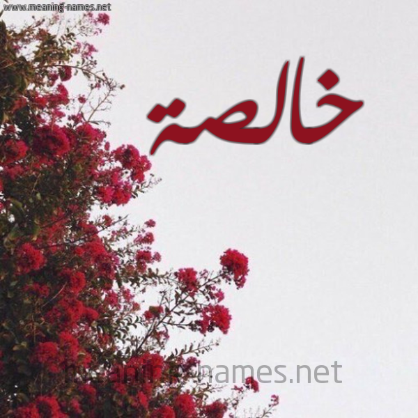 شكل 18 صوره الورد الأحمر للإسم بخط رقعة صورة اسم خالصة Khalsa