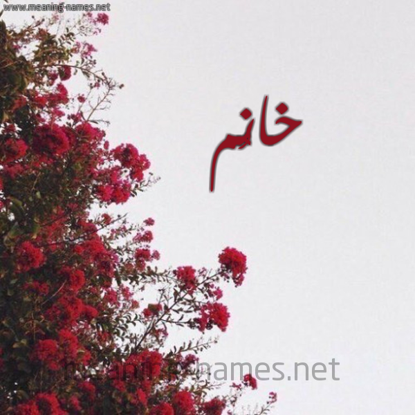 شكل 18 صوره الورد الأحمر للإسم بخط رقعة صورة اسم خانُم KHANOM