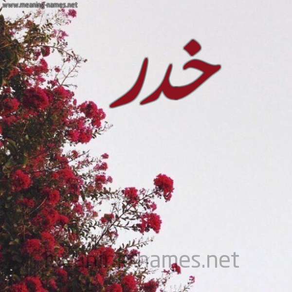 شكل 18 صوره الورد الأحمر للإسم بخط رقعة صورة اسم خدر Khdr