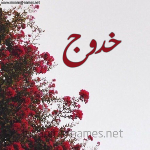 شكل 18 صوره الورد الأحمر للإسم بخط رقعة صورة اسم خدوج Khadouj