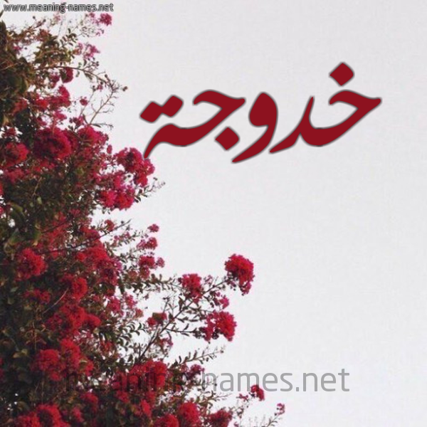 شكل 18 صوره الورد الأحمر للإسم بخط رقعة صورة اسم خدوجة KHADDOUJA