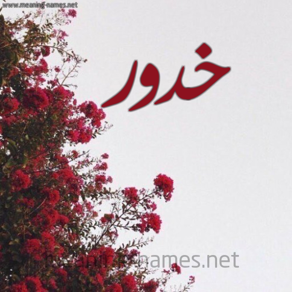 شكل 18 صوره الورد الأحمر للإسم بخط رقعة صورة اسم خدور Khdwr