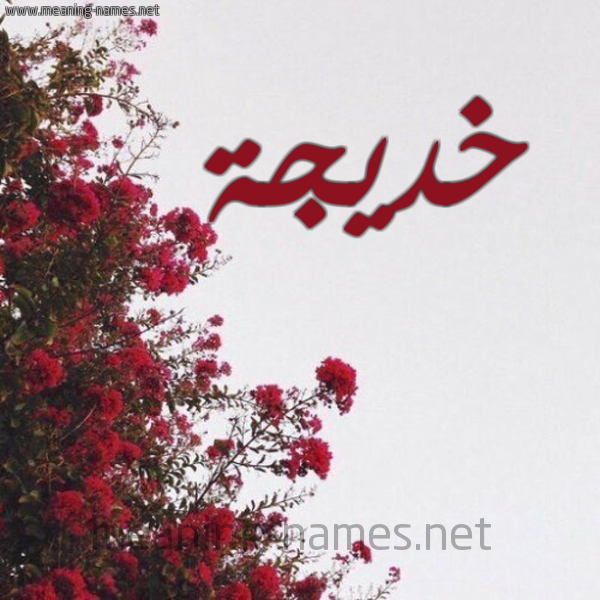شكل 18 صوره الورد الأحمر للإسم بخط رقعة صورة اسم خديجة Khadija
