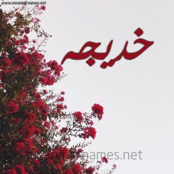 شكل 18 صوره الورد الأحمر للإسم بخط رقعة صورة اسم خديجه Khadija