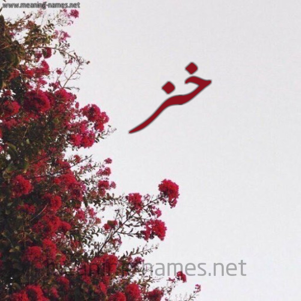 شكل 18 صوره الورد الأحمر للإسم بخط رقعة صورة اسم خز Khz