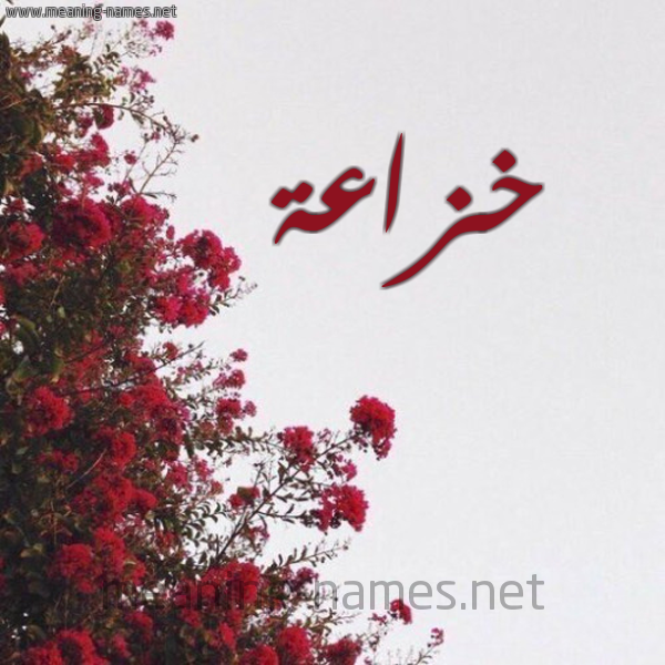 شكل 18 صوره الورد الأحمر للإسم بخط رقعة صورة اسم خزاعة Khza"h