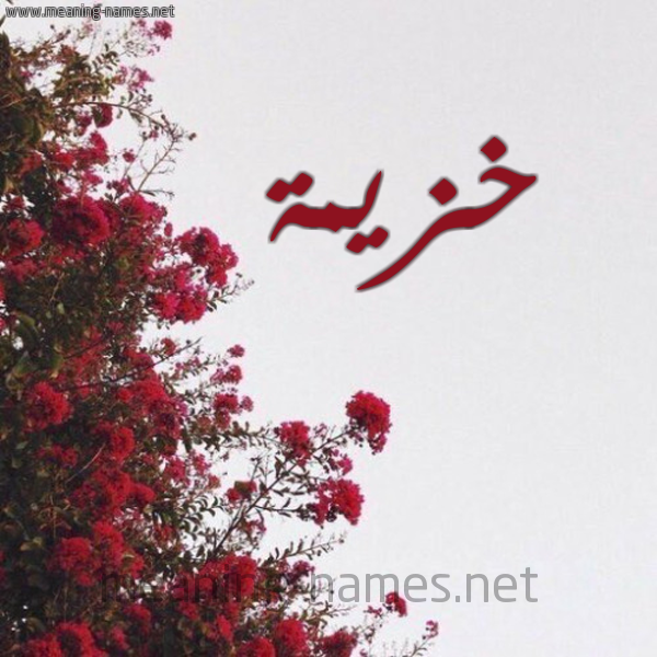 شكل 18 صوره الورد الأحمر للإسم بخط رقعة صورة اسم خزيمة Khzymh
