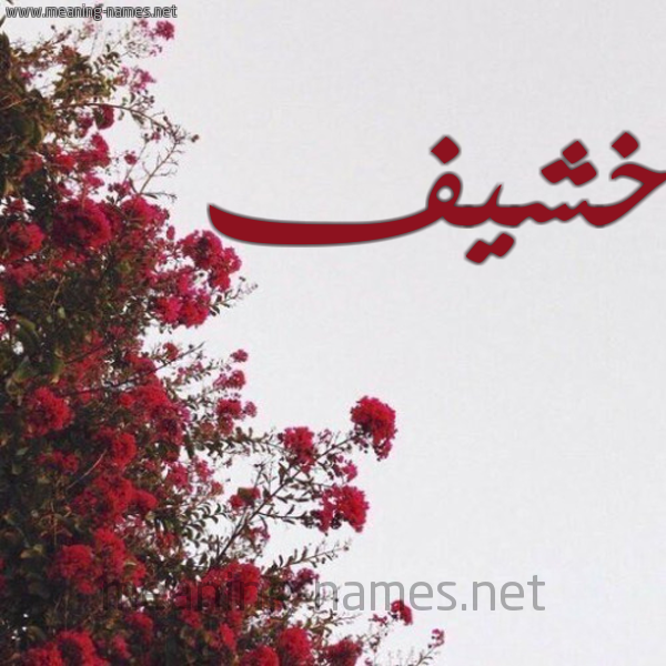 شكل 18 صوره الورد الأحمر للإسم بخط رقعة صورة اسم خشيف Khshyf