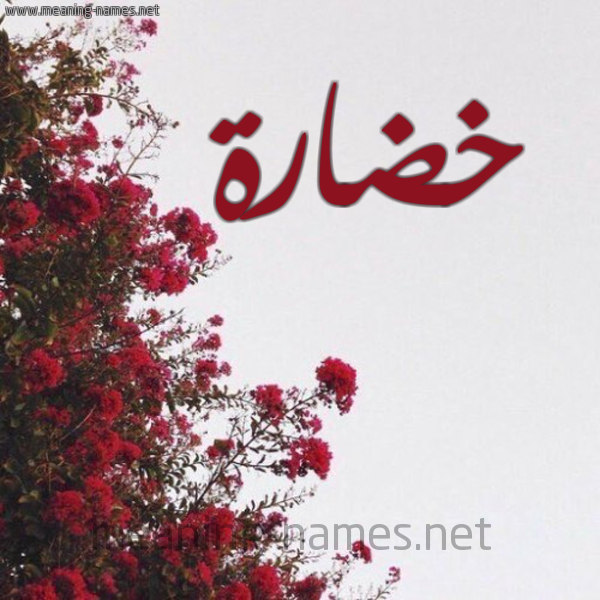 شكل 18 صوره الورد الأحمر للإسم بخط رقعة صورة اسم خضارة Khdarh