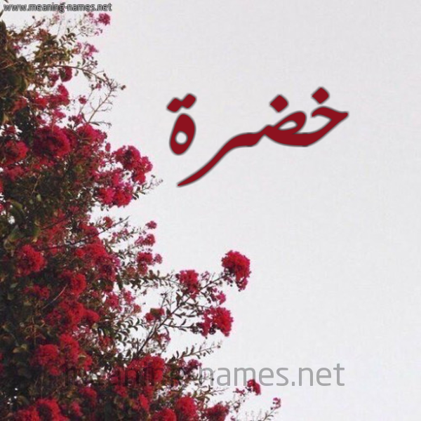 شكل 18 صوره الورد الأحمر للإسم بخط رقعة صورة اسم خضرة KHADRA