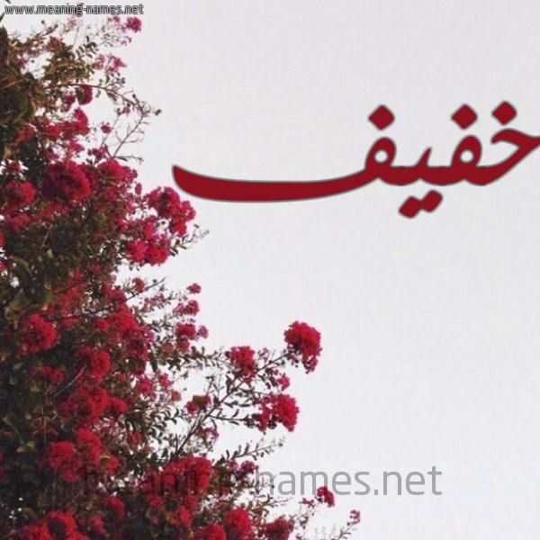 شكل 18 صوره الورد الأحمر للإسم بخط رقعة صورة اسم خفيف Khfyf