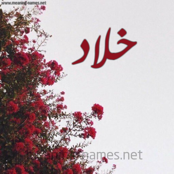 شكل 18 صوره الورد الأحمر للإسم بخط رقعة صورة اسم خلاد Khlad