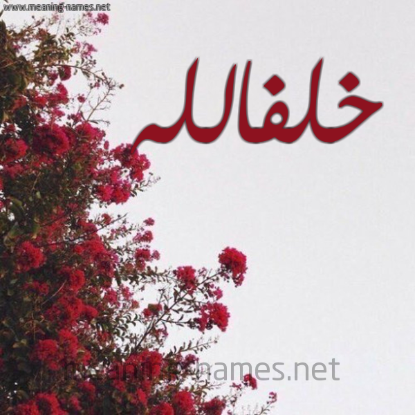 شكل 18 صوره الورد الأحمر للإسم بخط رقعة صورة اسم خلفالله Khlfallh