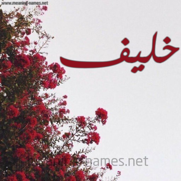 شكل 18 صوره الورد الأحمر للإسم بخط رقعة صورة اسم خليف Khlyf