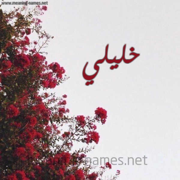 شكل 18 صوره الورد الأحمر للإسم بخط رقعة صورة اسم خليلي KHALILI