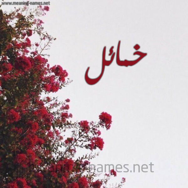 شكل 18 صوره الورد الأحمر للإسم بخط رقعة صورة اسم خمائل Khma"il