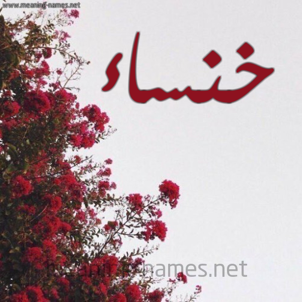 شكل 18 صوره الورد الأحمر للإسم بخط رقعة صورة اسم خنساء Khnsaa