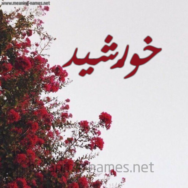 شكل 18 صوره الورد الأحمر للإسم بخط رقعة صورة اسم خورْشيد KHORSHID