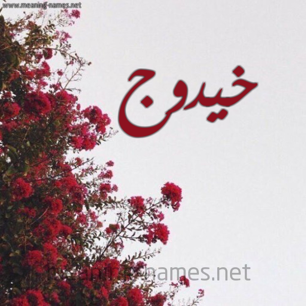 شكل 18 صوره الورد الأحمر للإسم بخط رقعة صورة اسم خيدوج Khadouj