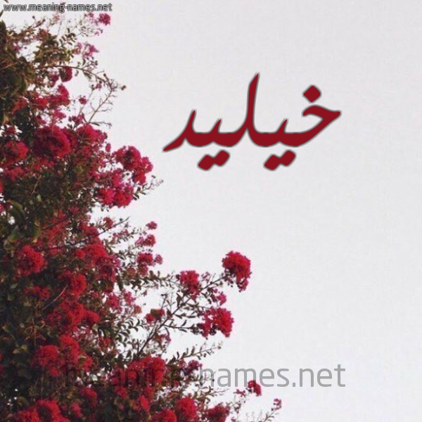 شكل 18 صوره الورد الأحمر للإسم بخط رقعة صورة اسم خيليد Khaleed