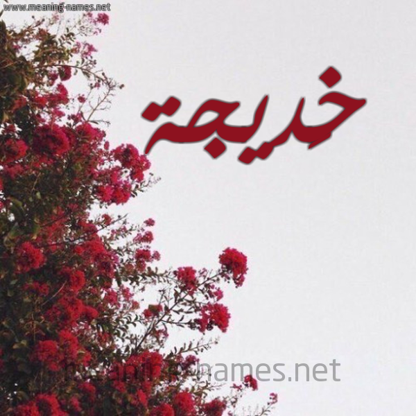 شكل 18 صوره الورد الأحمر للإسم بخط رقعة صورة اسم خَديجة Khadija
