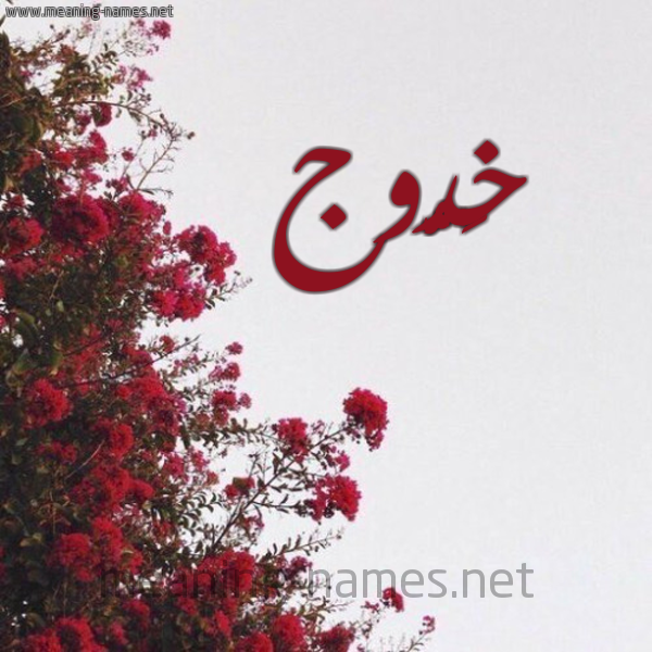 شكل 18 صوره الورد الأحمر للإسم بخط رقعة صورة اسم خَدُّوج KHADOOG
