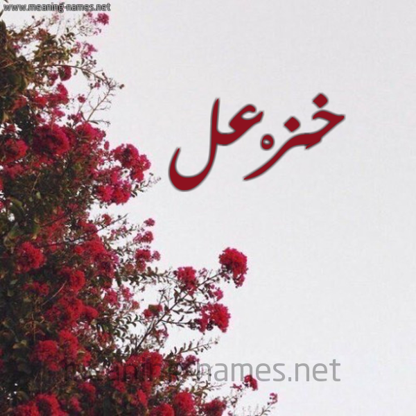 شكل 18 صوره الورد الأحمر للإسم بخط رقعة صورة اسم خَزْعل KHAZAL